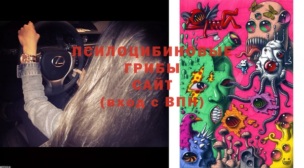 не бодяженный Тобольск