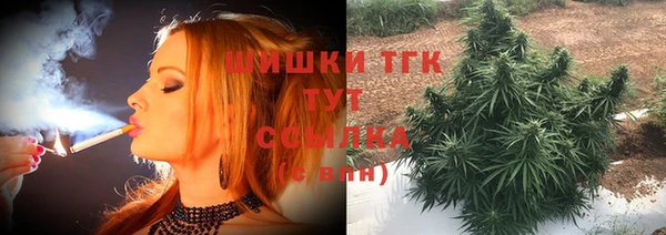 не бодяженный Тобольск