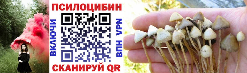 Псилоцибиновые грибы мухоморы  Агрыз 